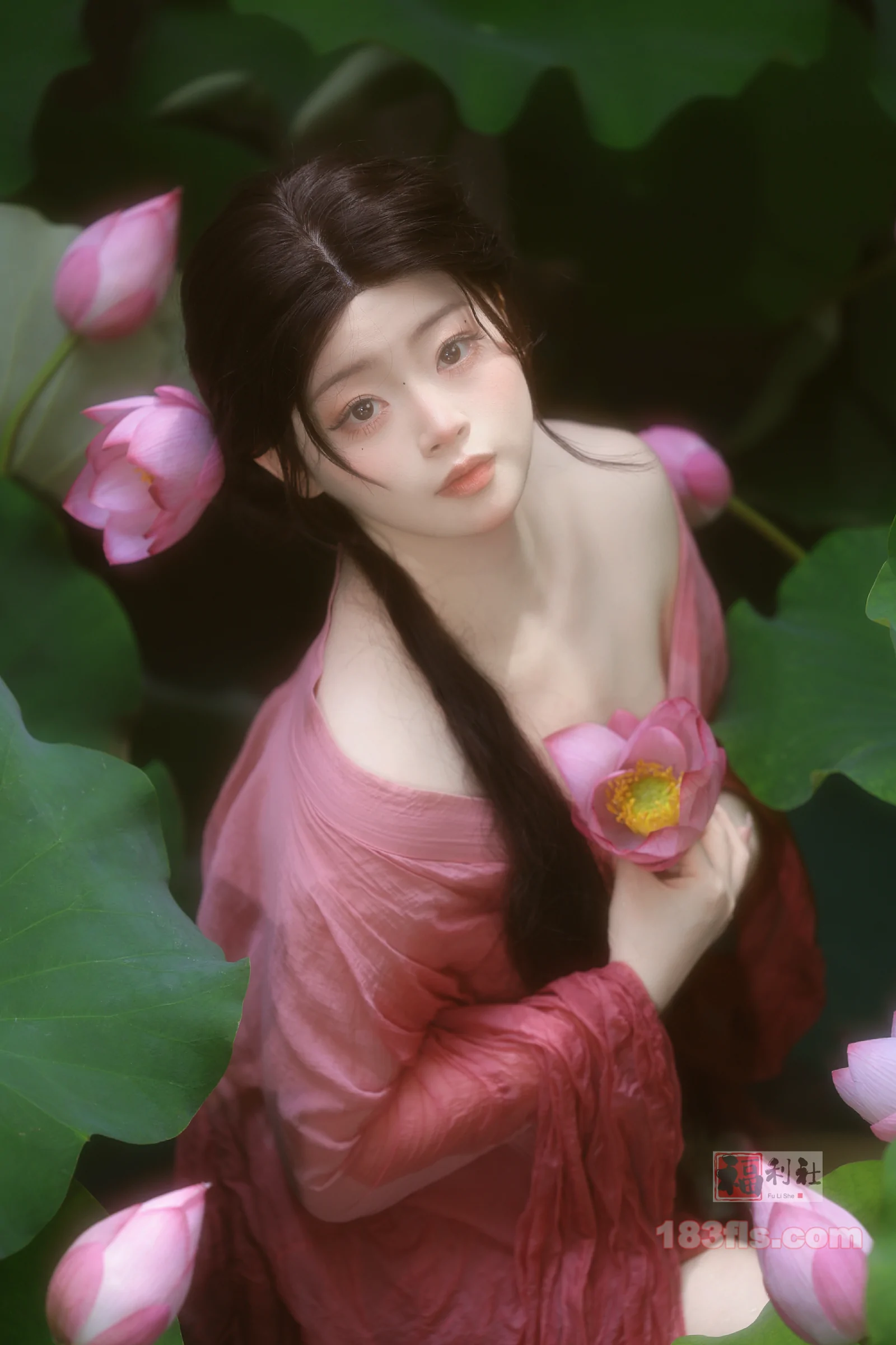一只毛毛帽 – 2026年06月月票